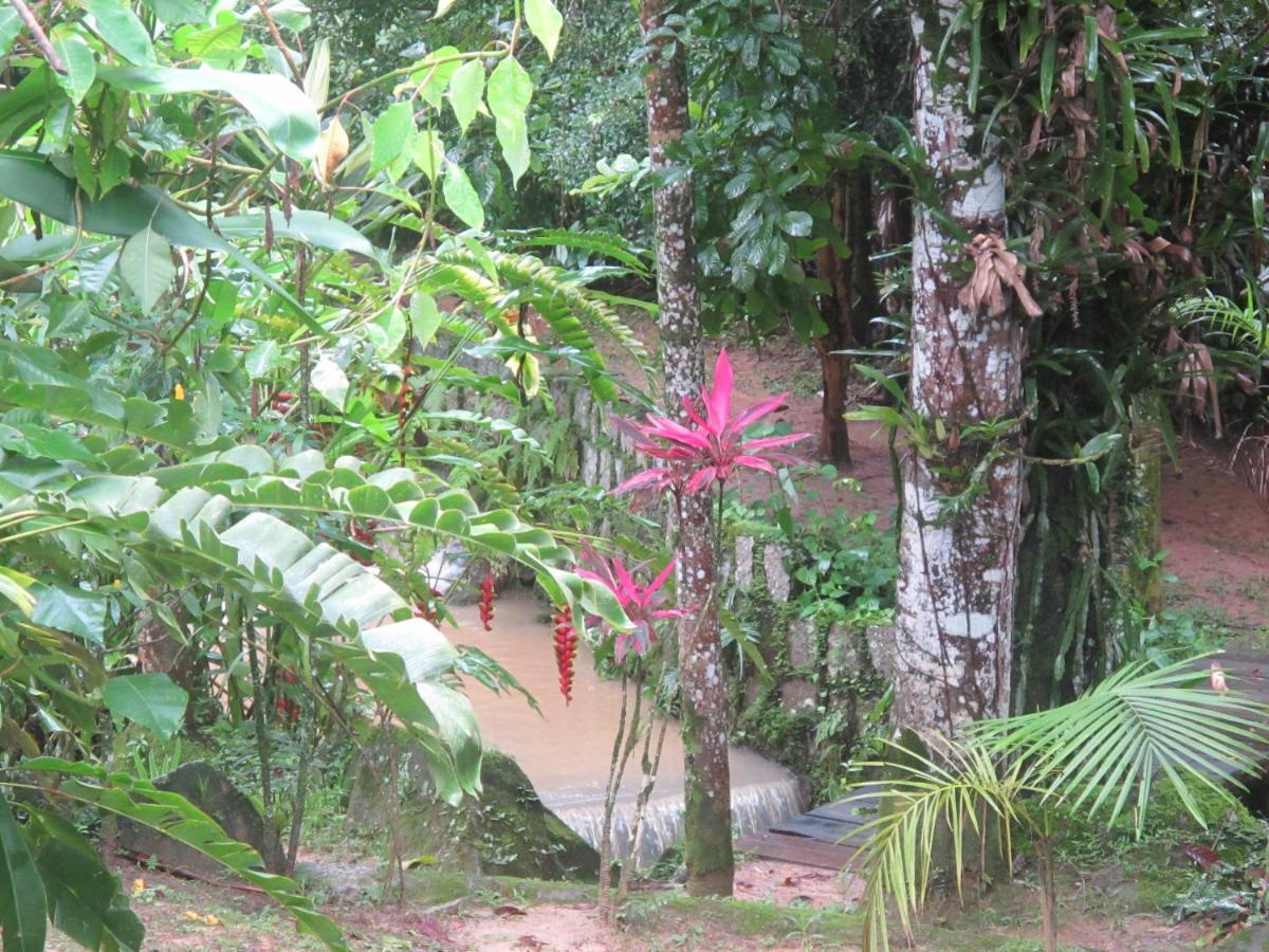 Janela Dos Meus Sonhos Villa Penedo  Bagian luar foto