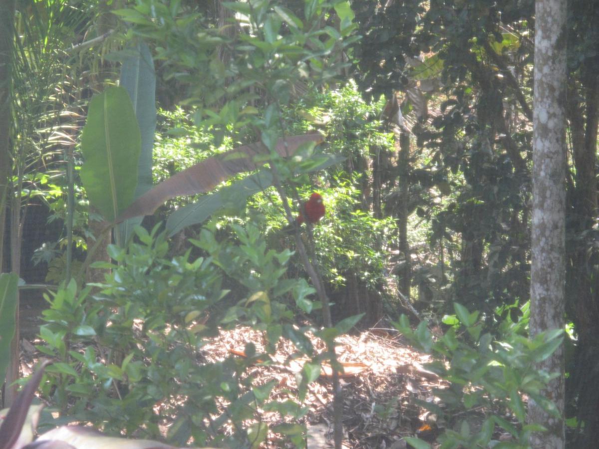 Janela Dos Meus Sonhos Villa Penedo  Bagian luar foto