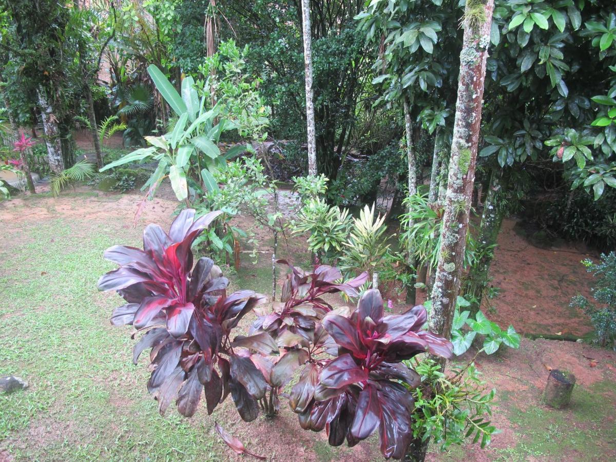 Janela Dos Meus Sonhos Villa Penedo  Bagian luar foto