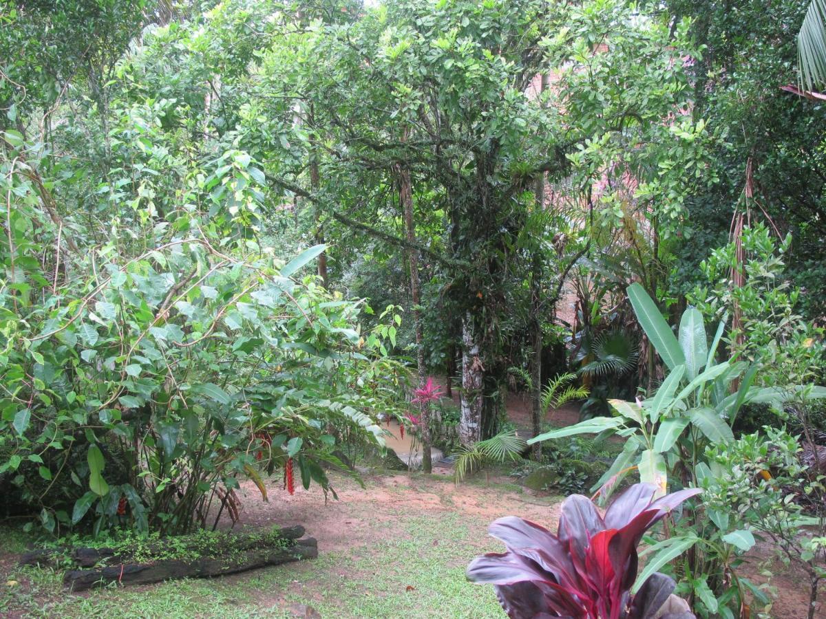 Janela Dos Meus Sonhos Villa Penedo  Bagian luar foto