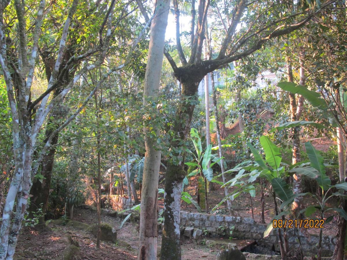Janela Dos Meus Sonhos Villa Penedo  Bagian luar foto